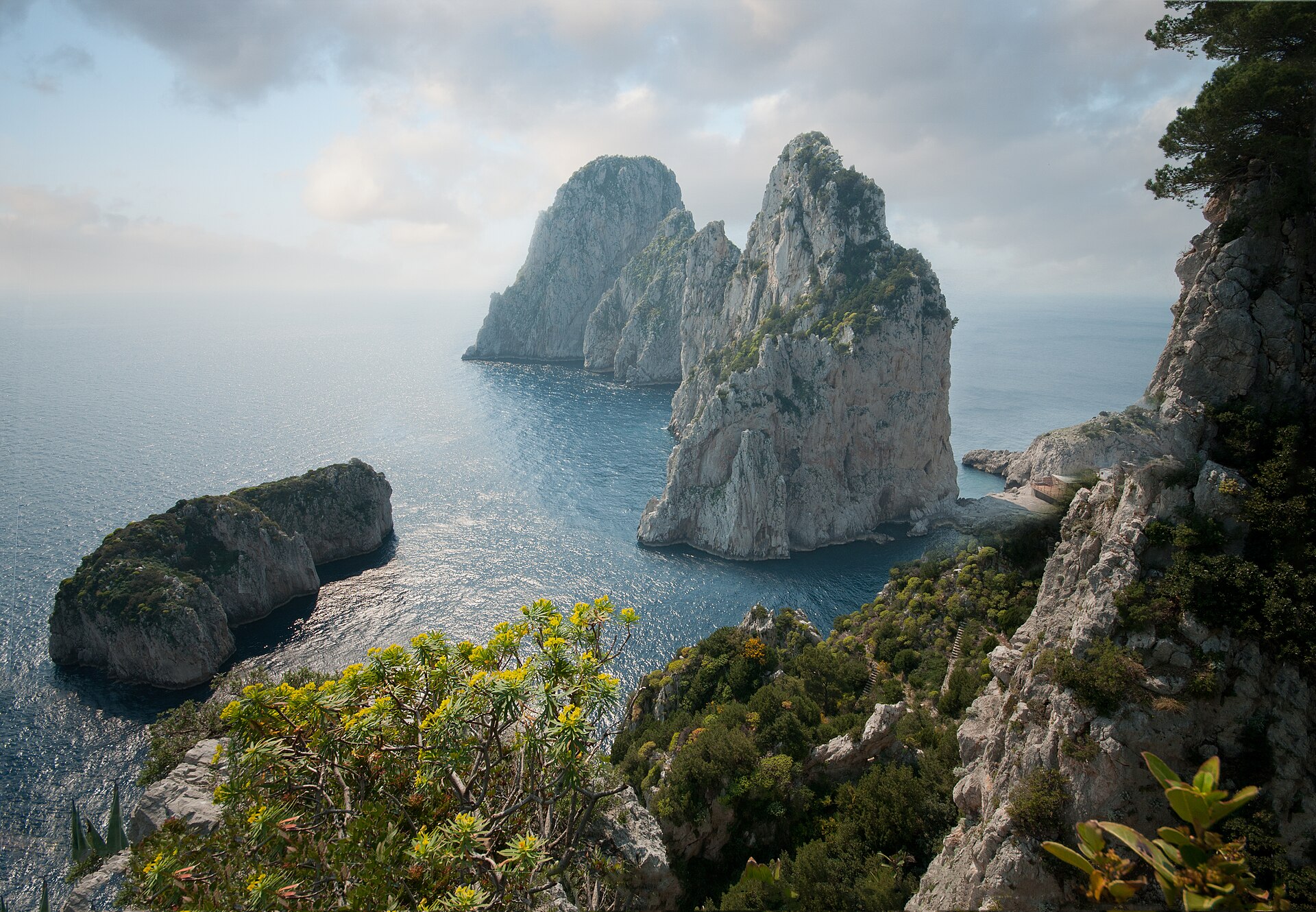 I tre Faraglioni di Capri visti dalla scogliera, con macchia mediterranea in primo piano.